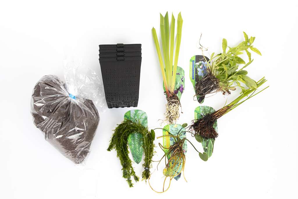 Pond Starter Packs - Pond topup Packs - Oxygenating - Compost and Pots Potted
