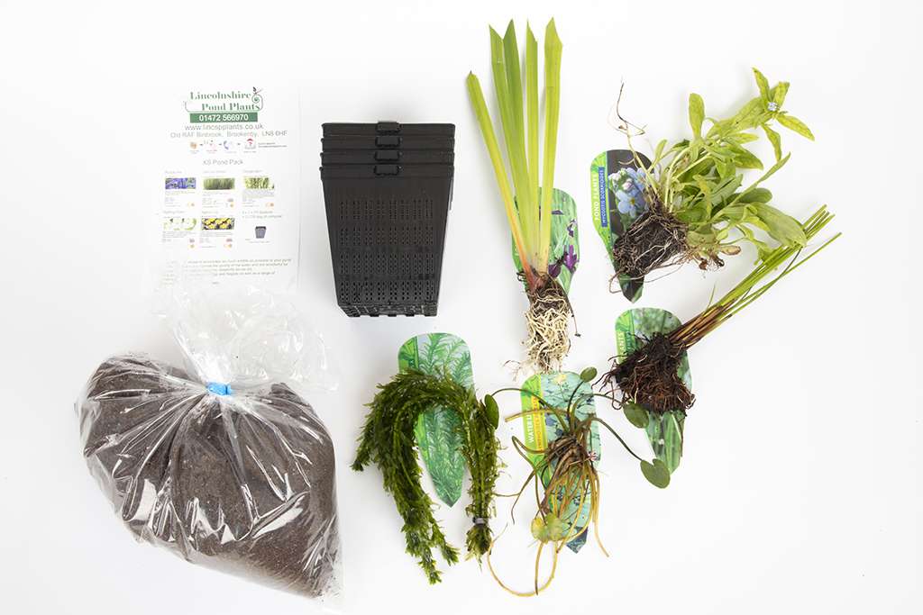 Pond Starter Packs - Pond topup Packs - Oxygenating - Compost and Pots Potted