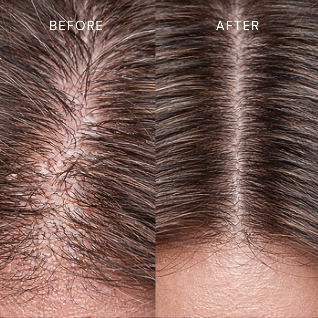 Perle de Cactus Organic Hair Care Elixir - Jojoba & Avocado