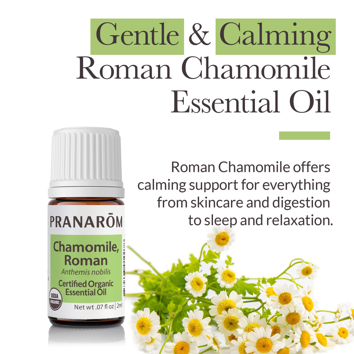 Pranarom Chamomile Roman Essential Oil 2ml – Organic Calming Diffuser Therapy