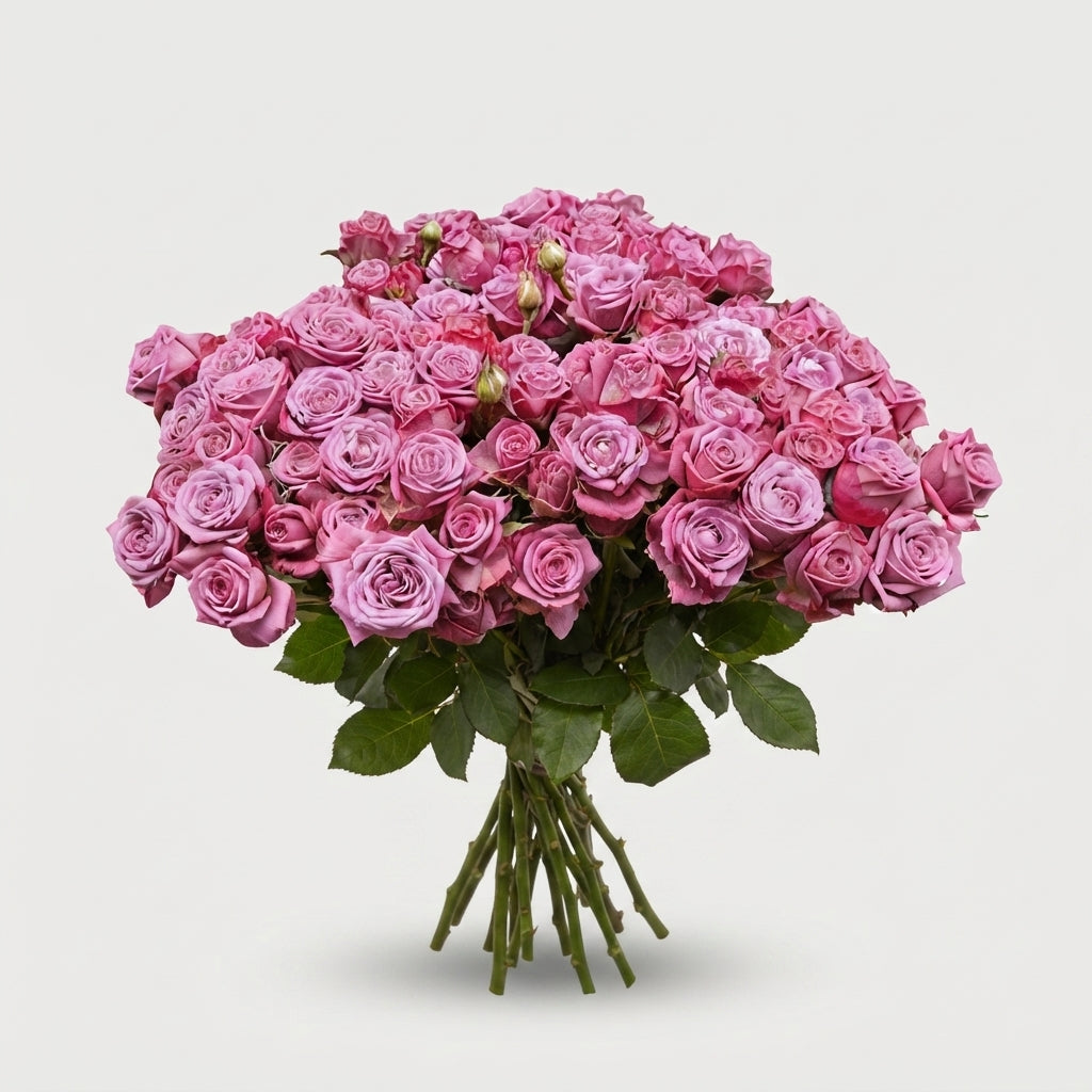 Spray Rose Purple Queen