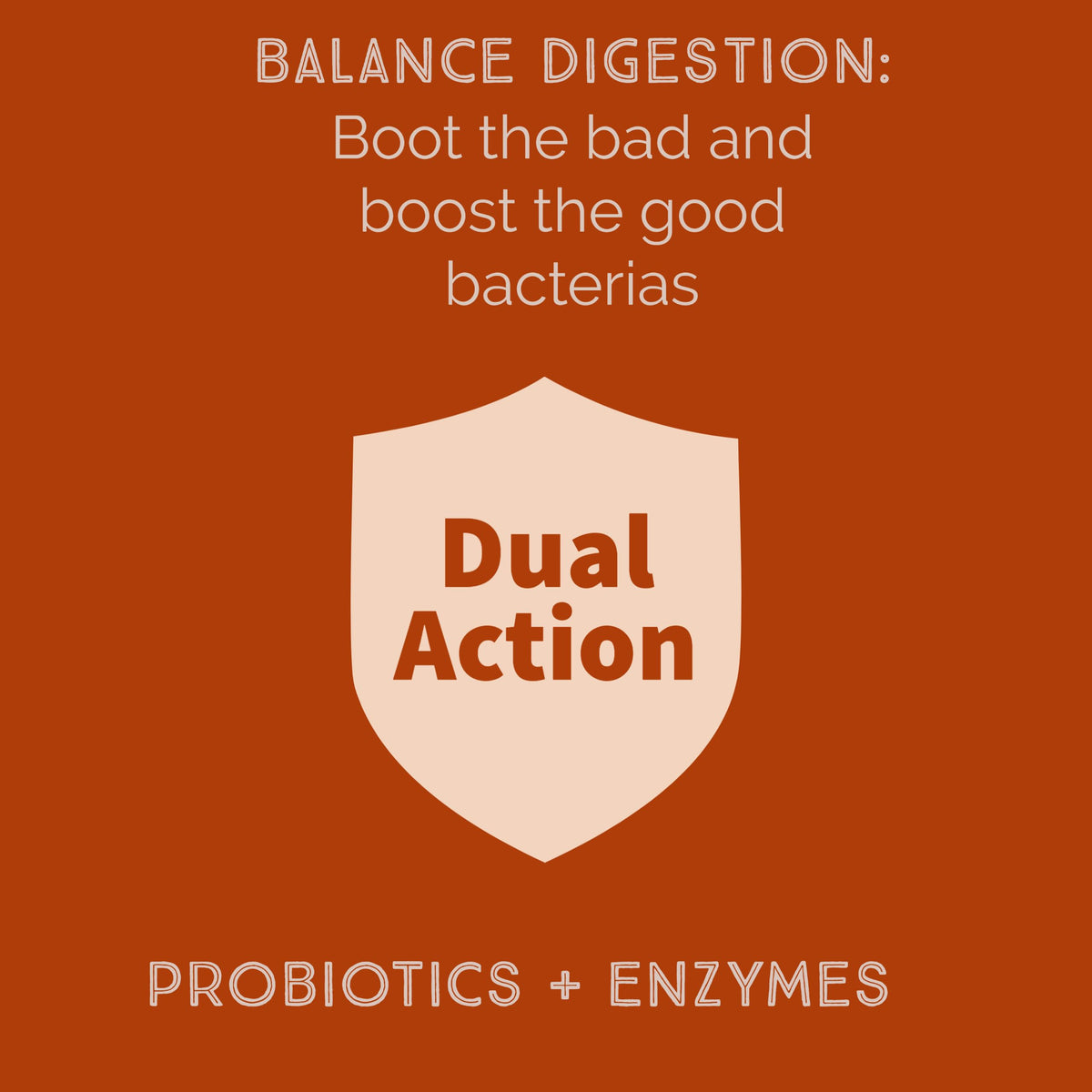 New Bacillus B3 Probiotic Complex & Enzymes – 60 Capsules (100% Spore-Based SBO)