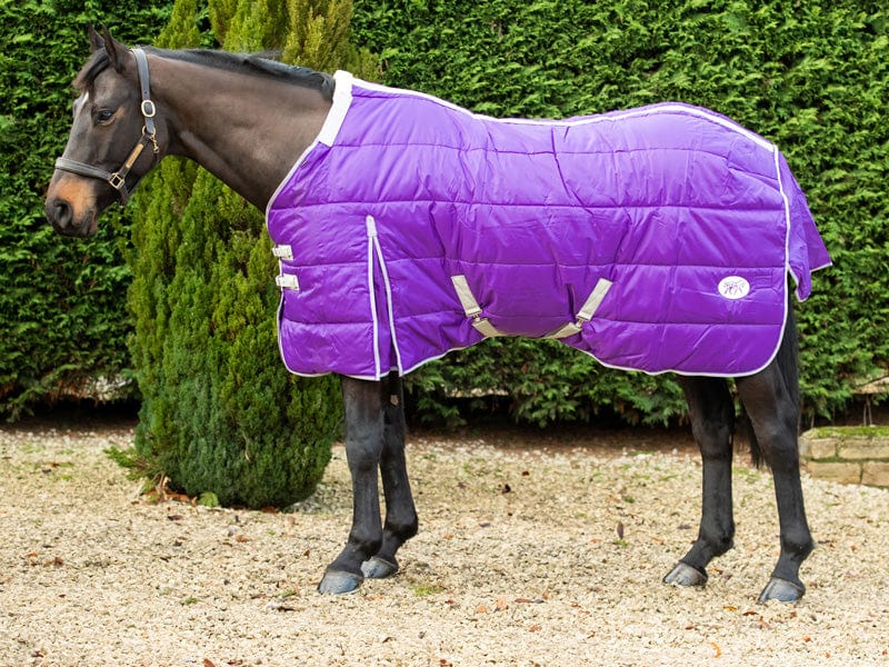 200g Stable Rug With Detachable Neck - Purple