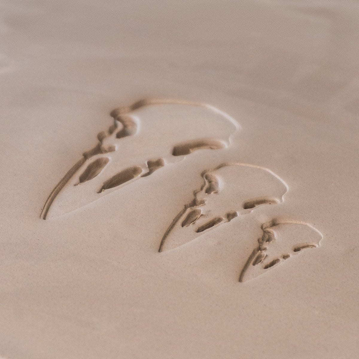 Raven Skull Stamps