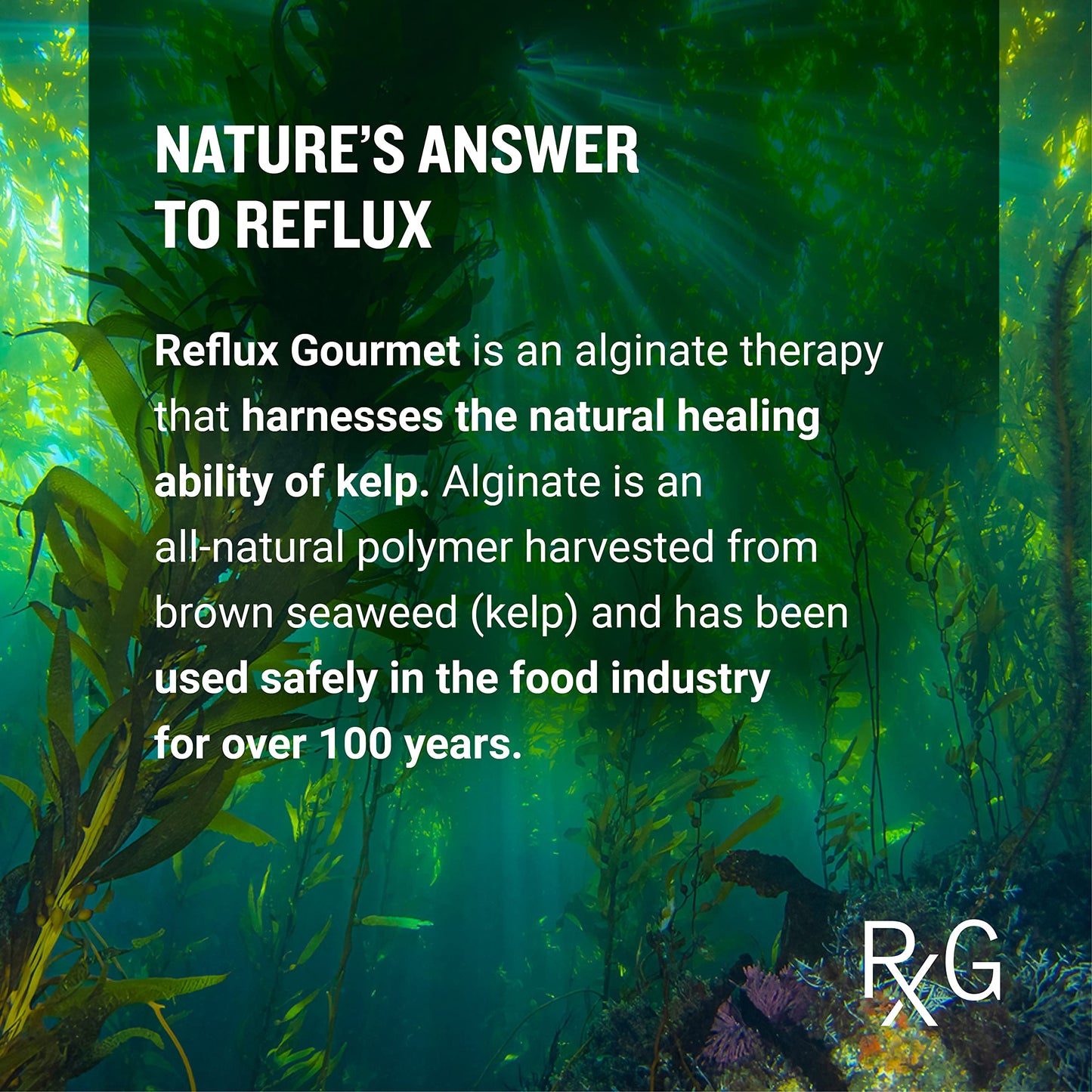 REFLUX GOURMET Natural Heartburn Relief — Alginate Therapy, 25 Pack (Mint Chocolate / Vanilla Caramel)
