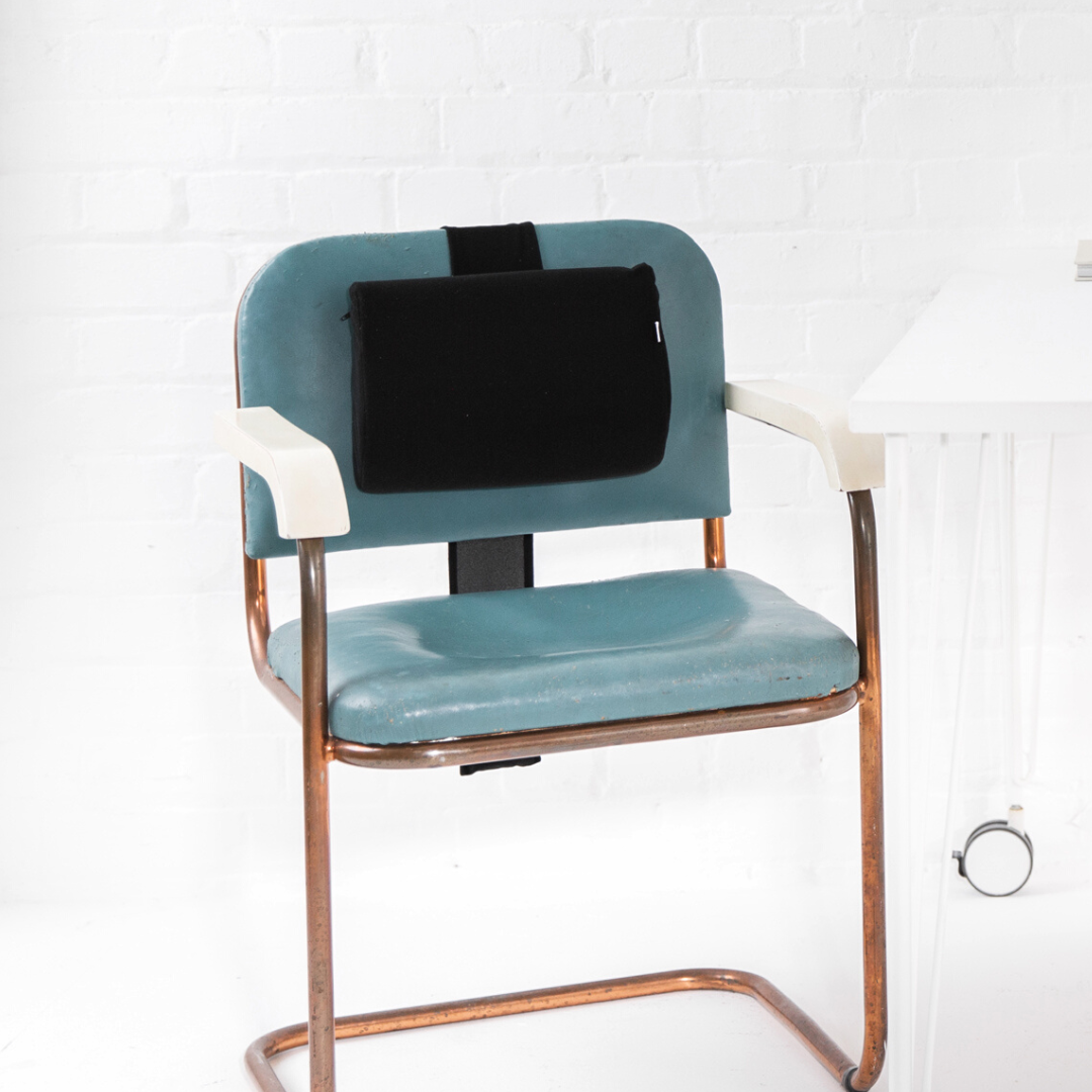 Weighted Lumbar Support Cushion