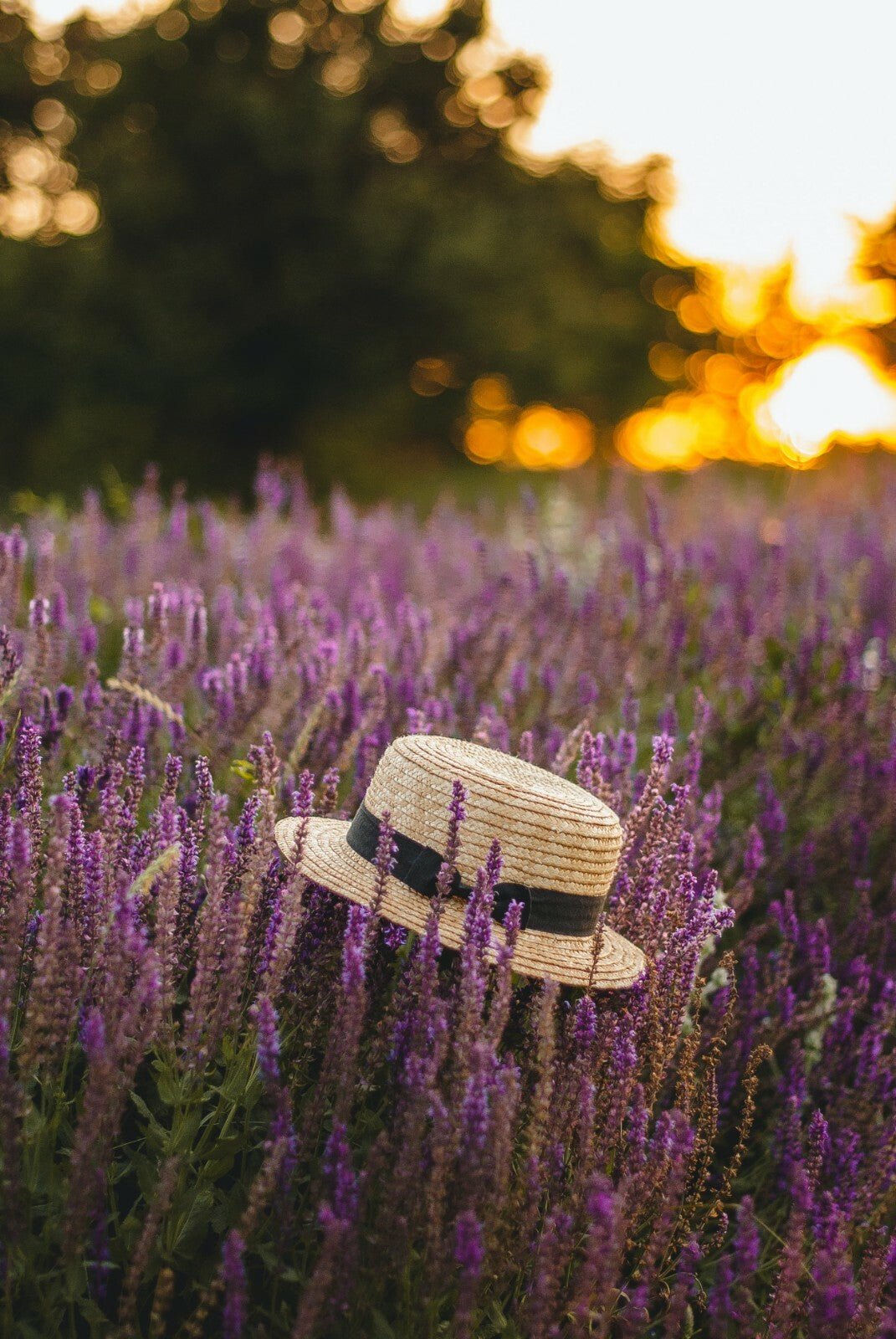 Restful Sleep Skin Cream - Natural, Handmade Cream with Soothing Lavender