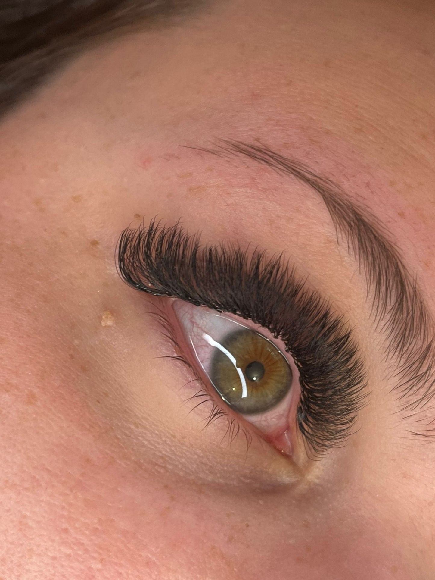 8D Clover Lash Mixed Tray