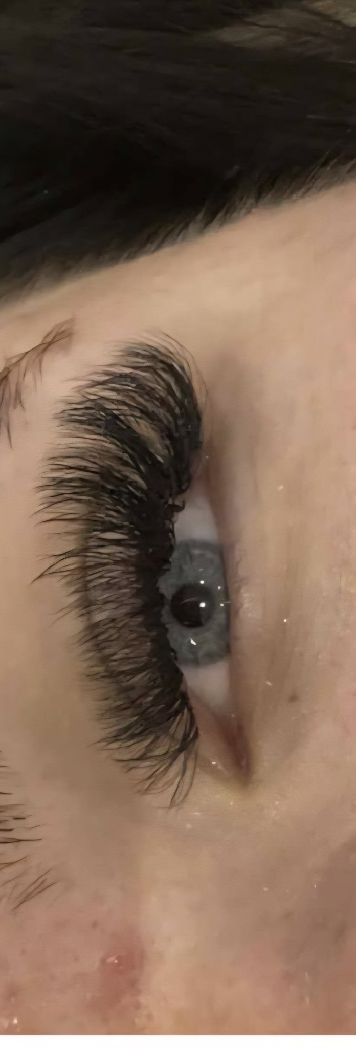 10D Clover Lash Mixed Tray