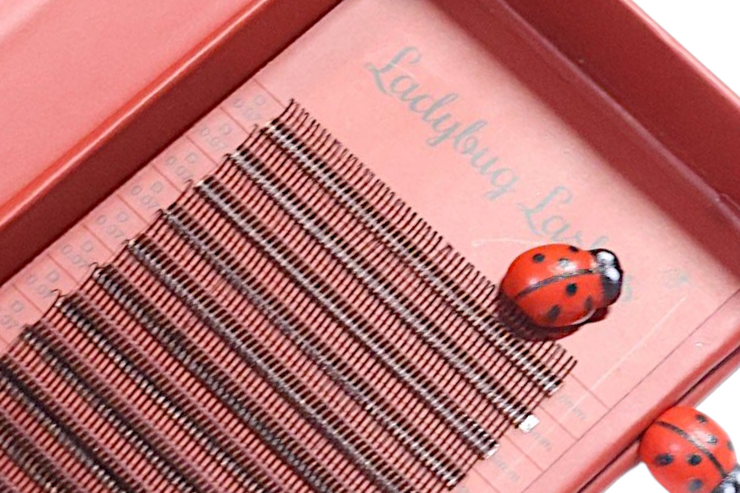 Brown Angel Lash Mixed Tray