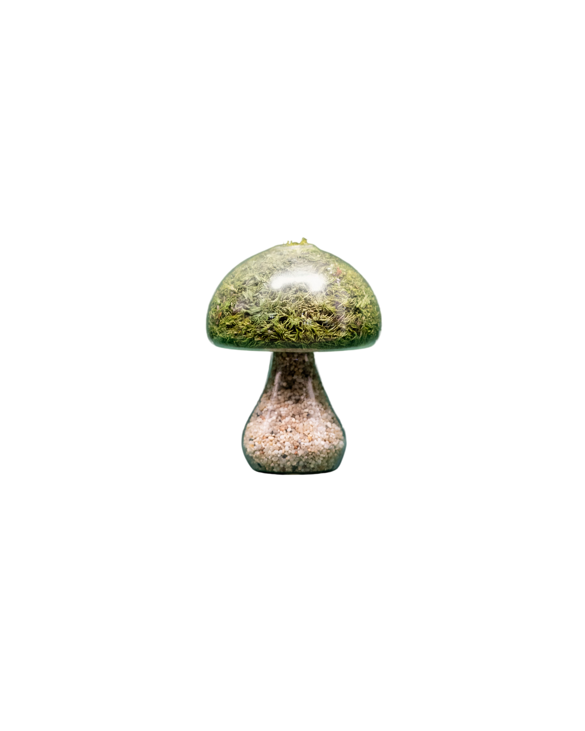 Moss Mushroom - Round - Light Stone