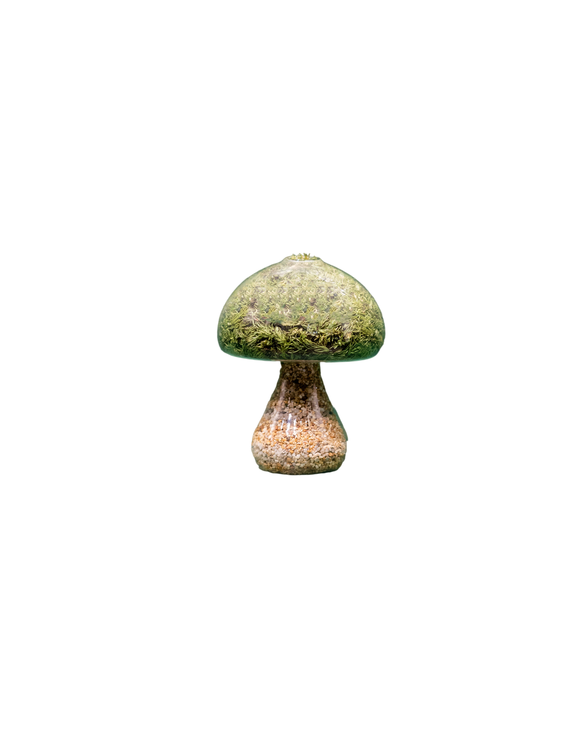 Moss Mushroom - Round - Natural Stone
