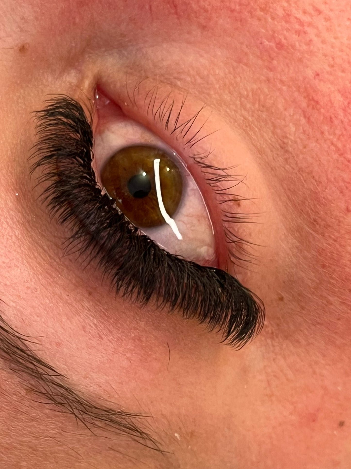 8D Clover Lash Mixed Tray