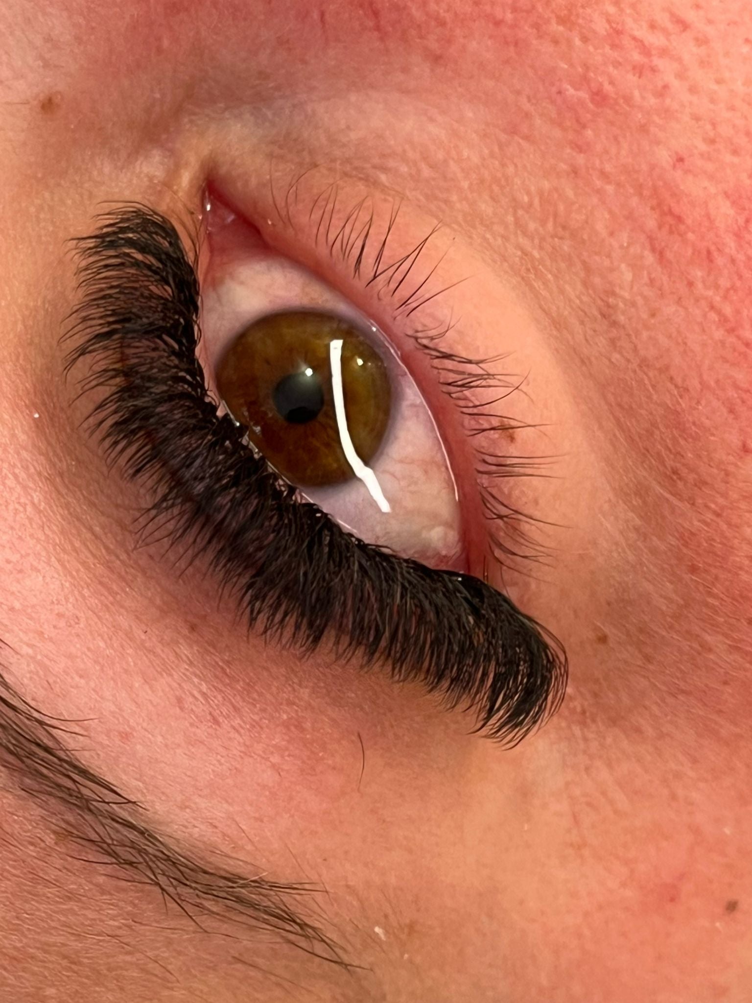 8D Clover Lash Mixed Tray