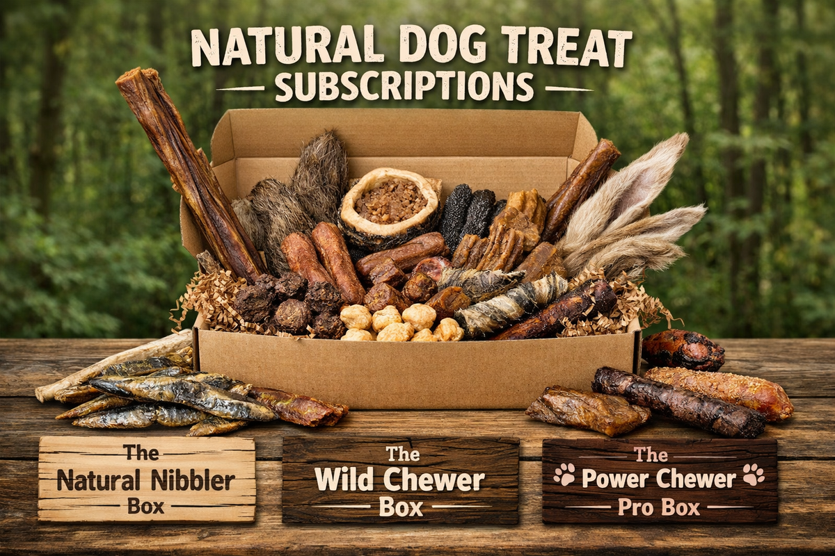 The Wild Chewer Box