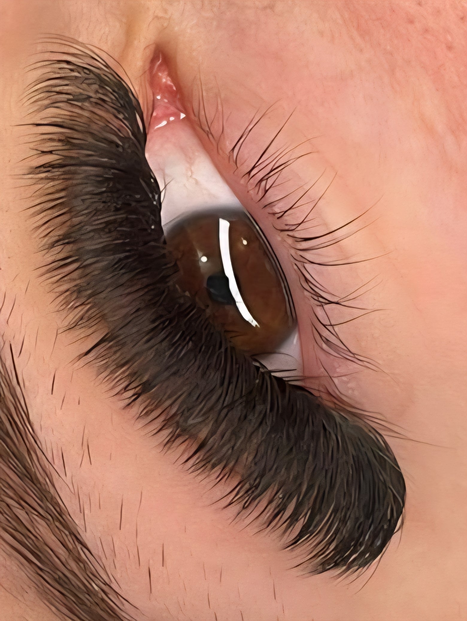 Platinum Promade Tray – Ultra-Black