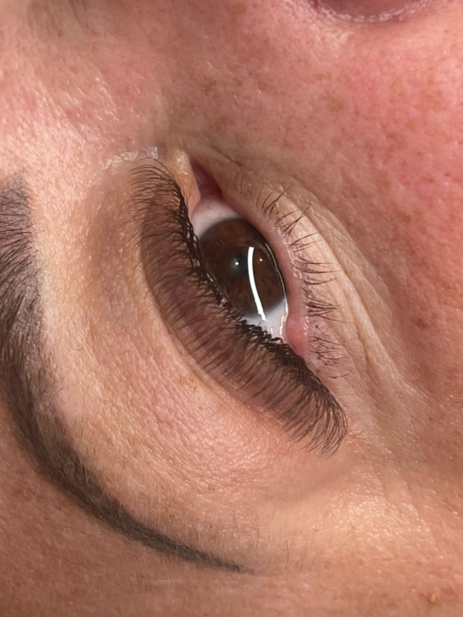 Brown 4D Clover Single Length