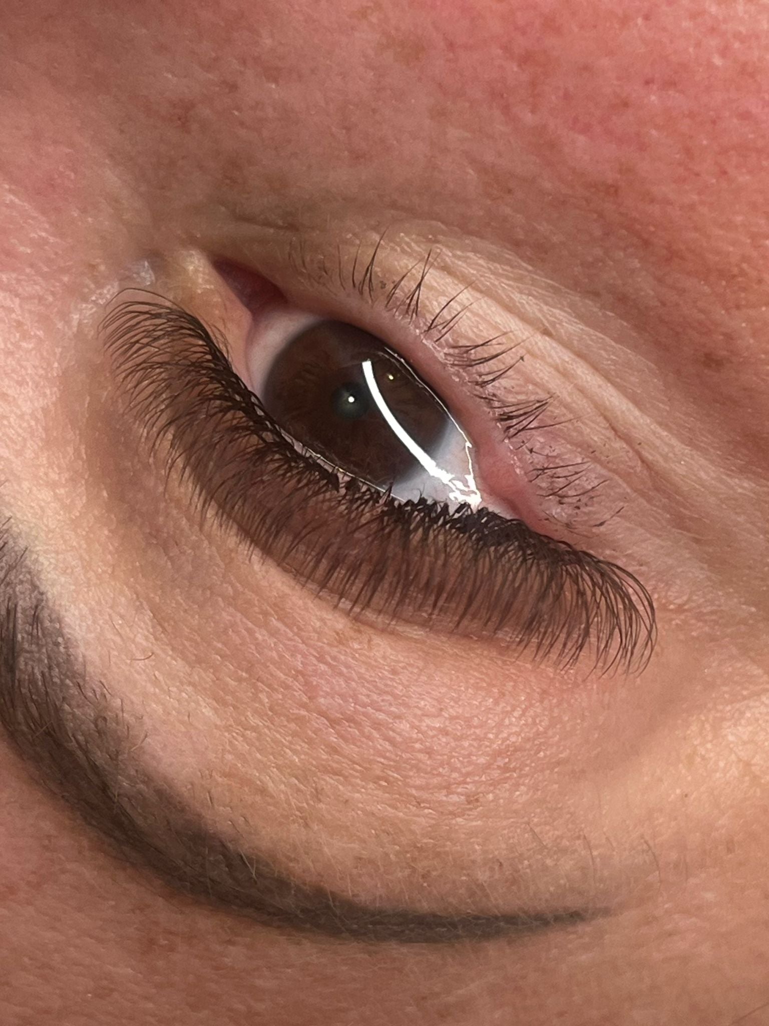 Brown 4D Clover Single Length