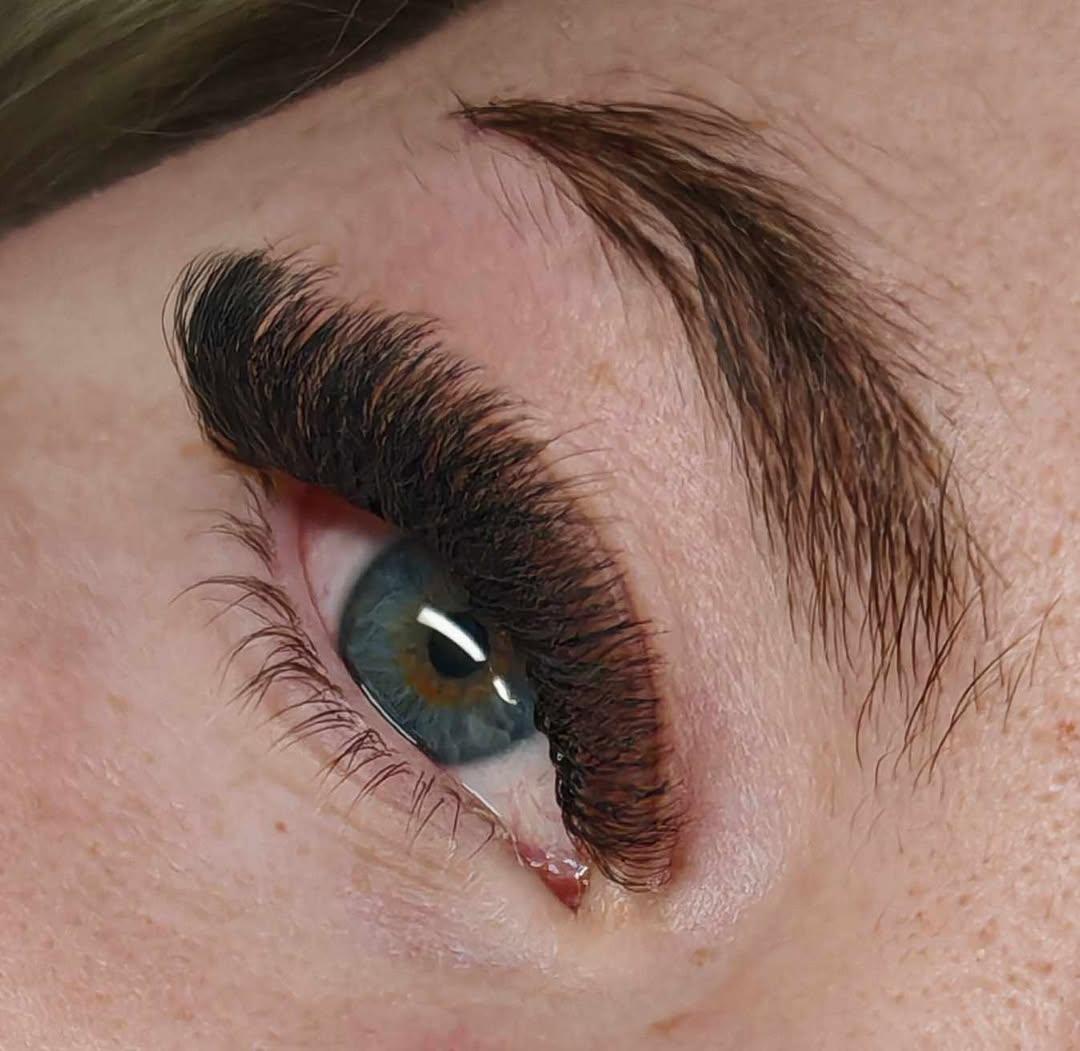 8D Clover Lash Mixed Tray