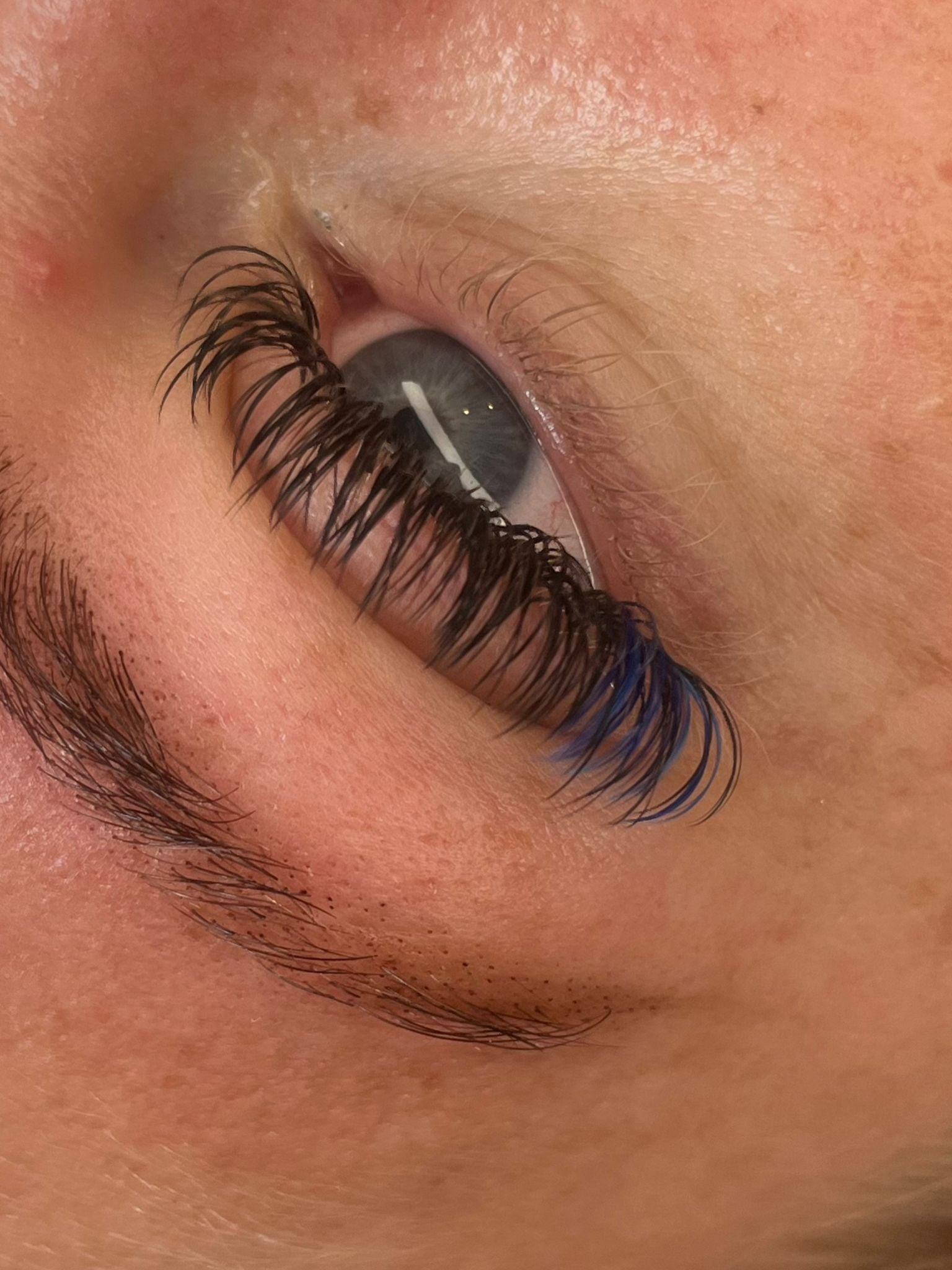 Colour Volume Lashes