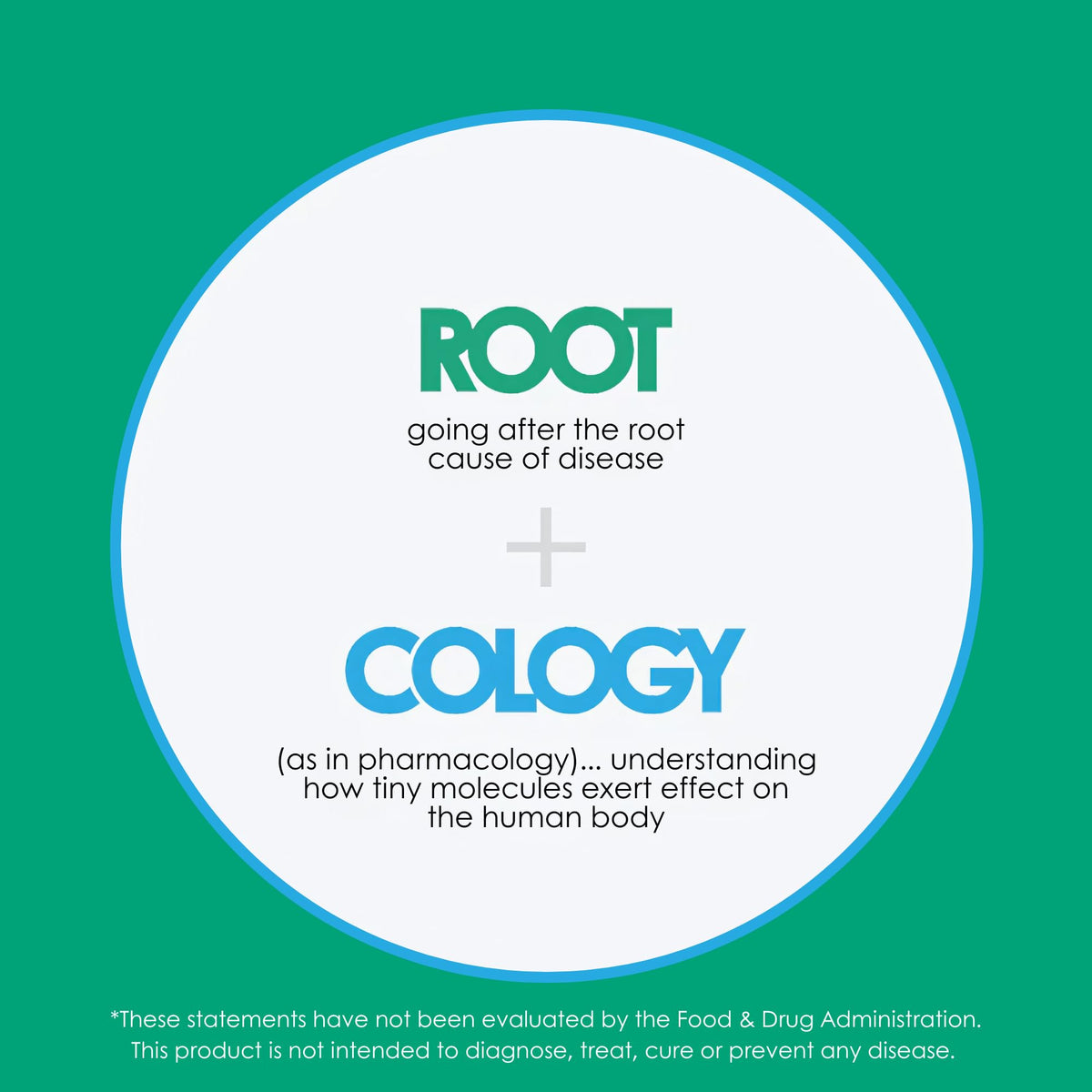 Rootcology by Dr. Izabella Wentz | Benfotiamine 300mg | 120 Capsules