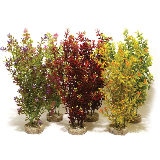 Rosewood Cocktail Plant Maxi