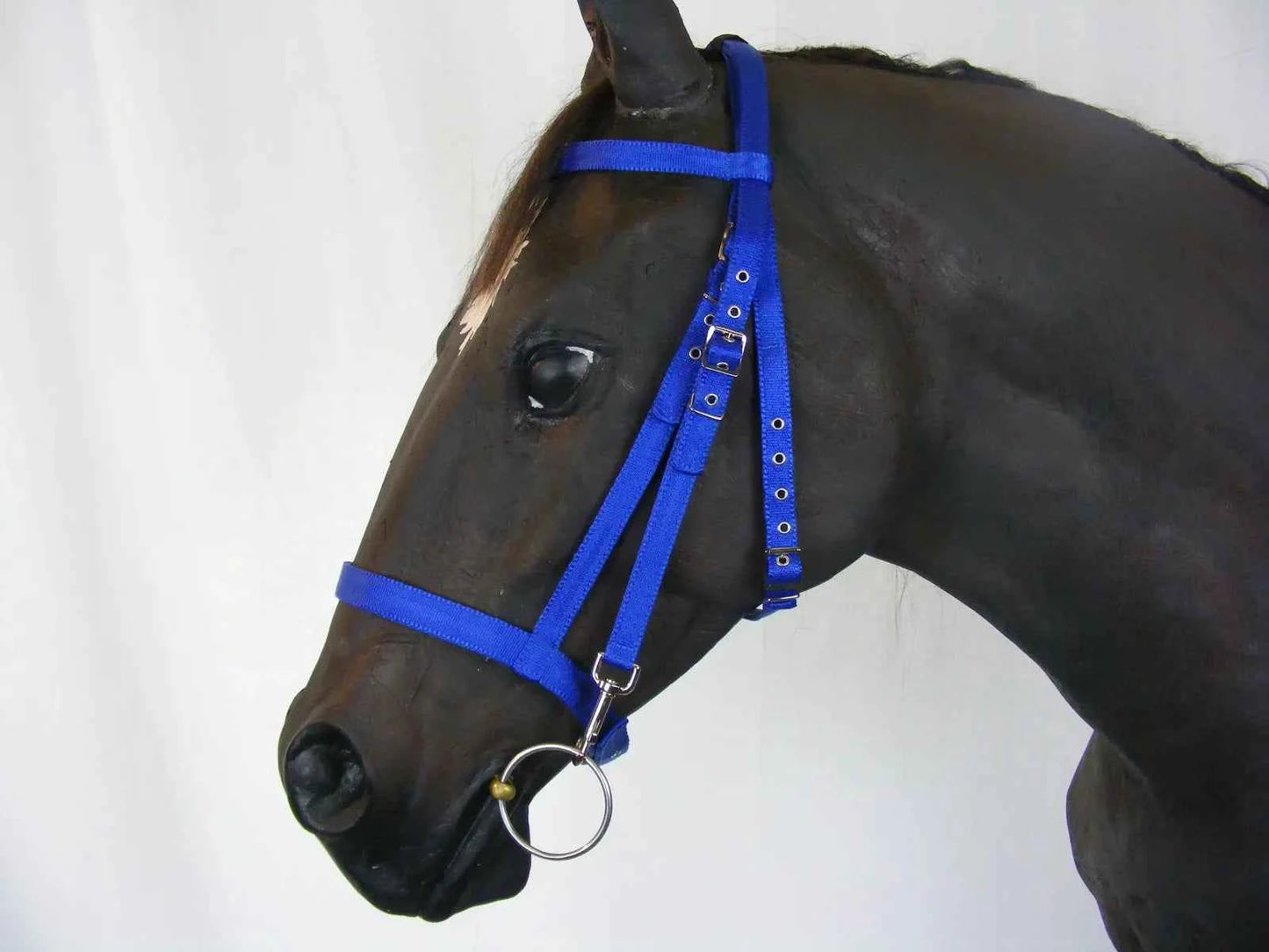 Schooling Bridle