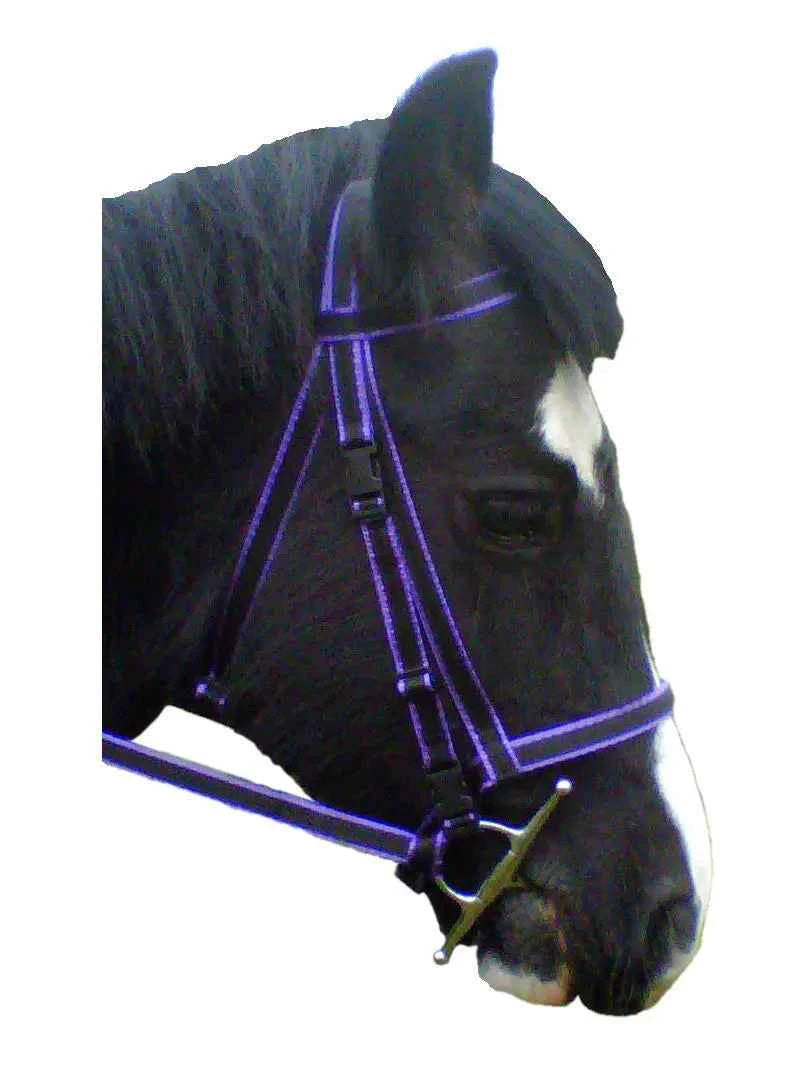 Click Bridle including Reins
