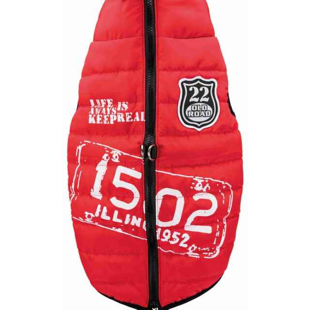 Saint-Malo Dog Coat with Harness