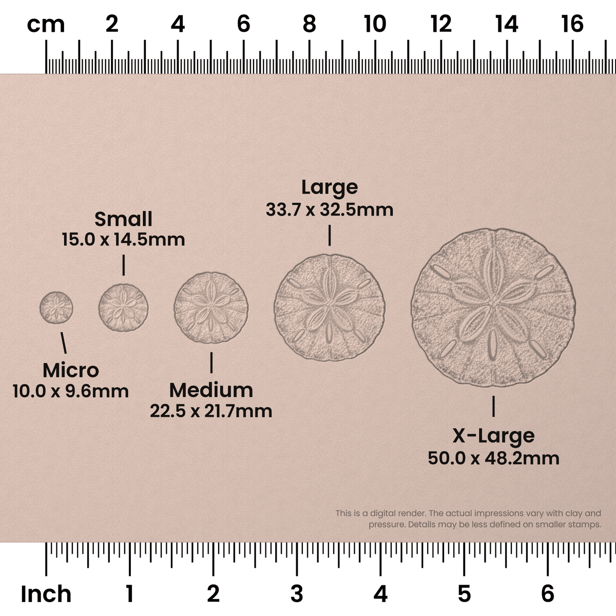 Sand Dollar Stamps - Photo Textured