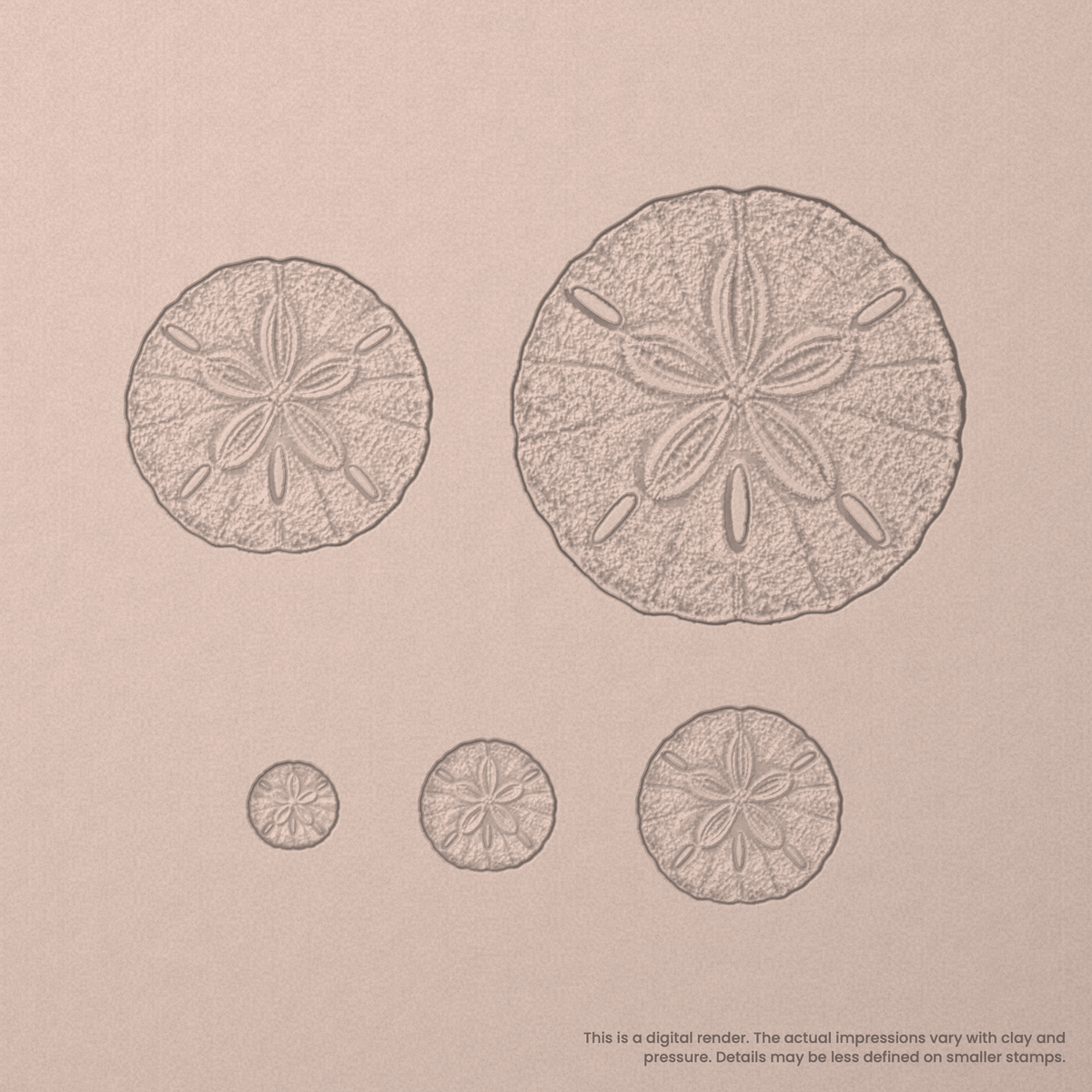 Sand Dollar Stamps - Photo Textured