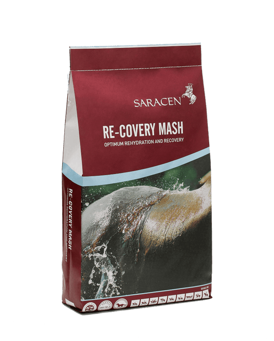 Saracen Re-Covery Mash