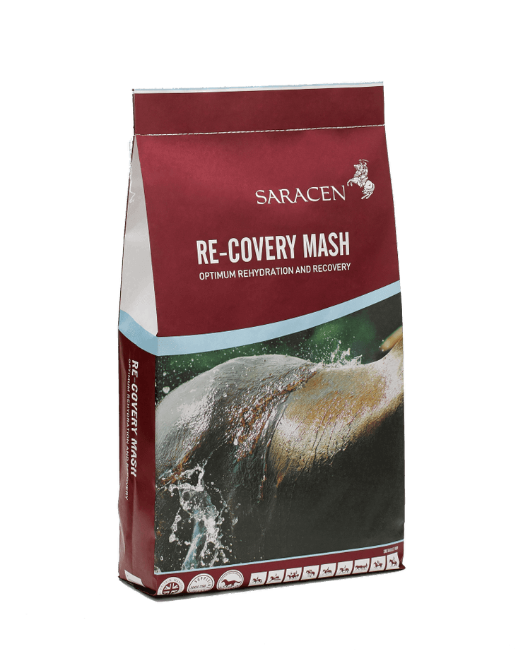Saracen Re-Covery Mash
