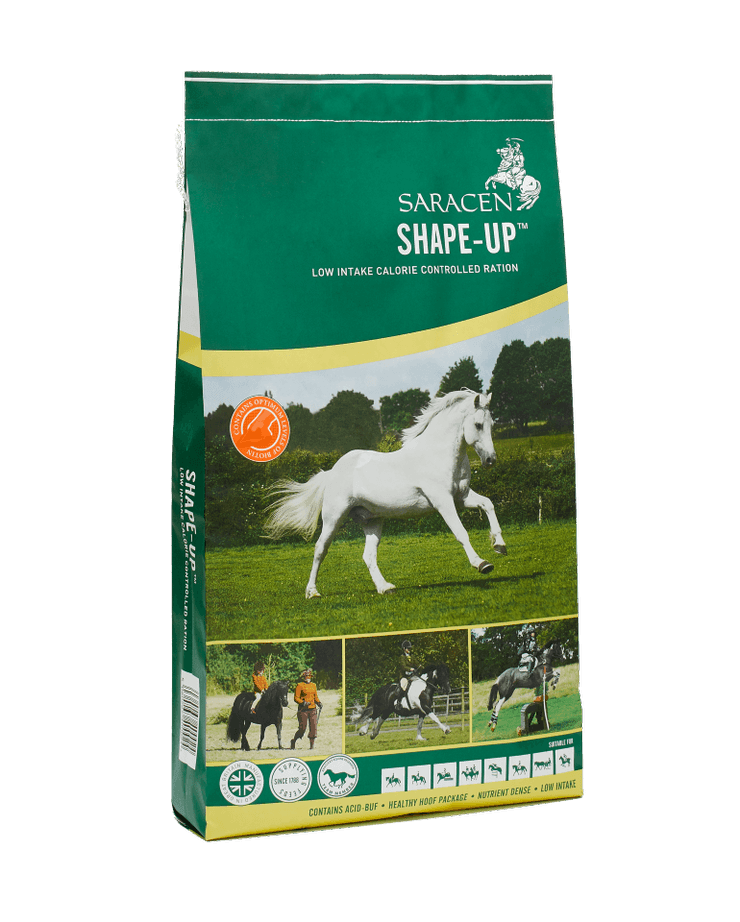 Saracen Shape-Up