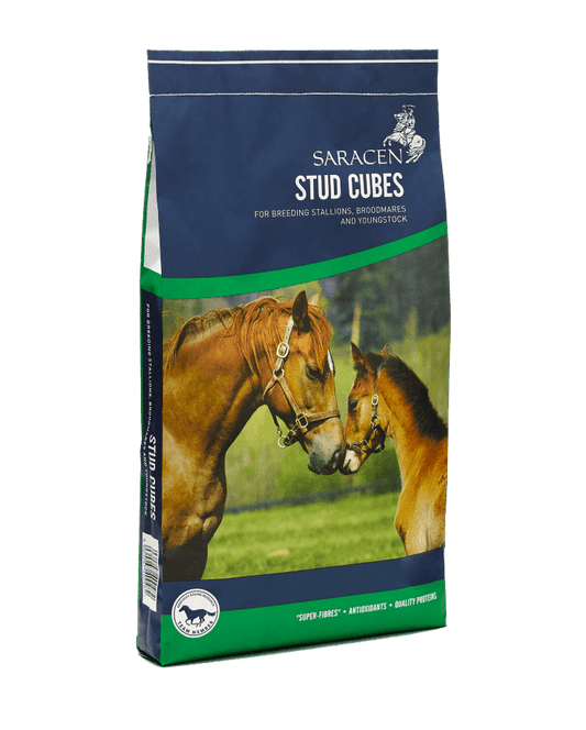 Saracen Stud Cubes 20kg