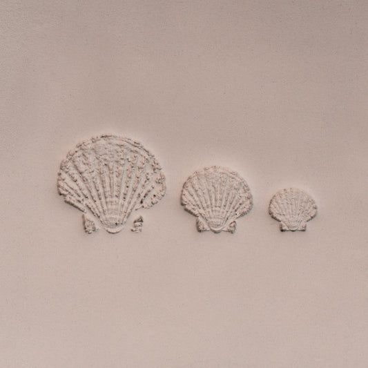 Scallop Shell Stamp - Photo Textured - Style #1