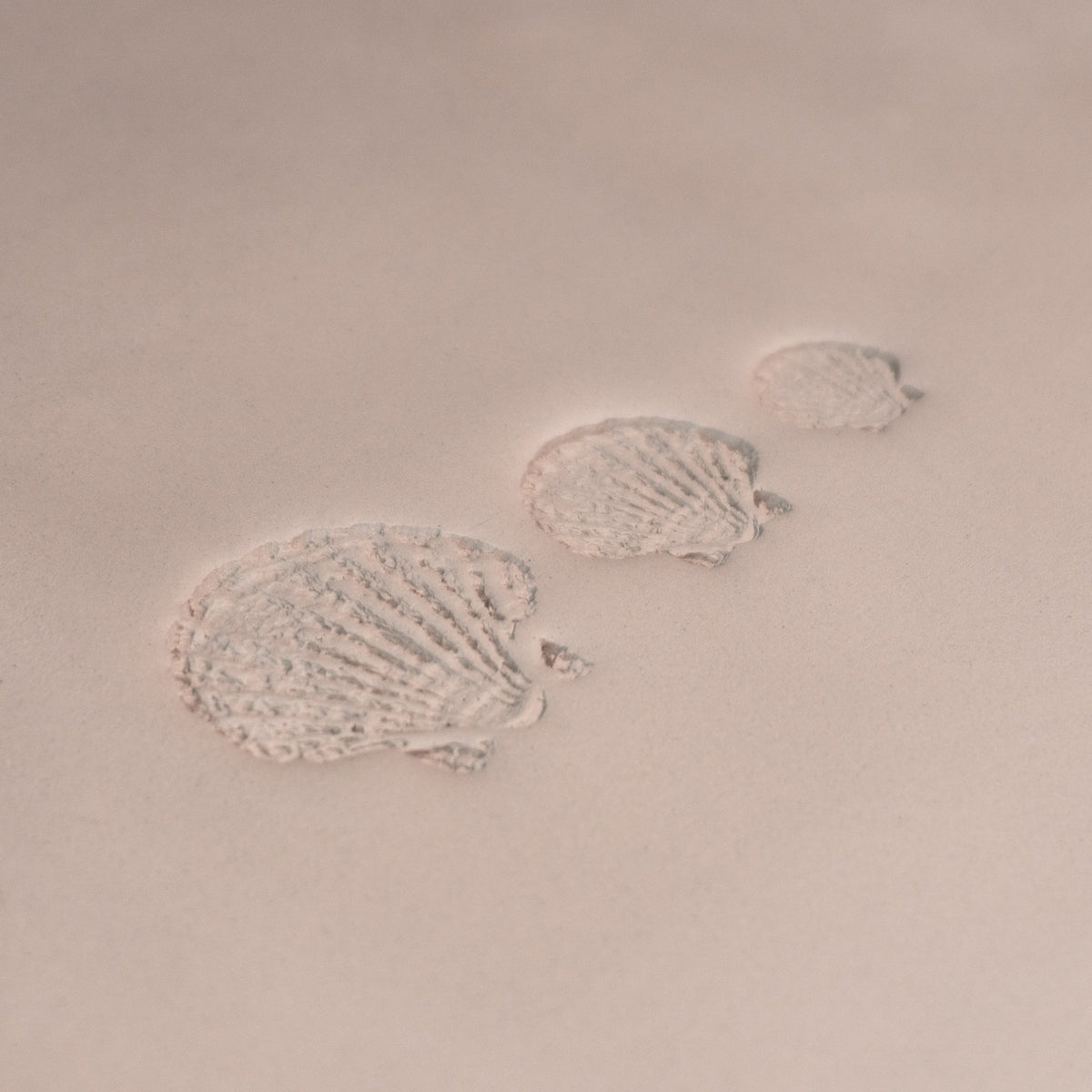 Scallop Shell Stamp - Photo Textured - Style #1