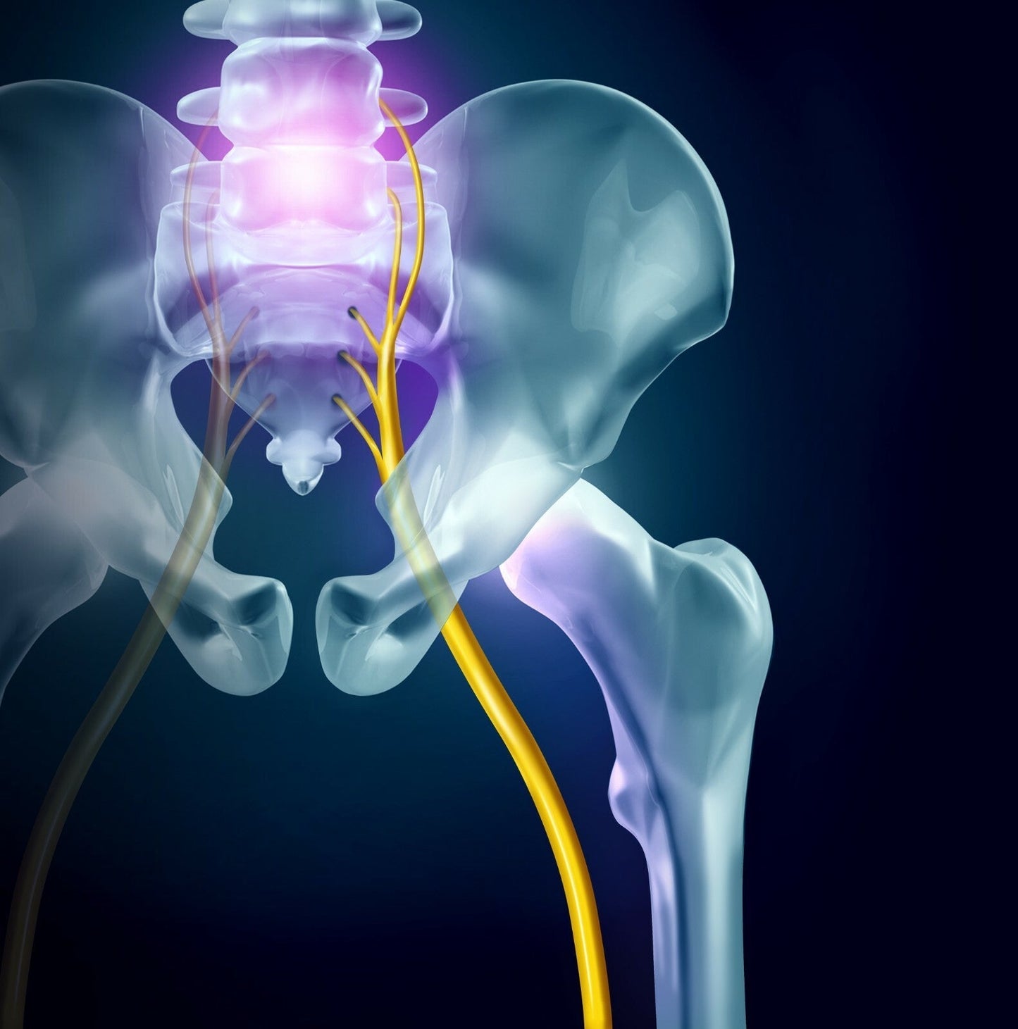 Sciatica & Nerve Pain Relief Oil | Natural Herbal Massage Oil