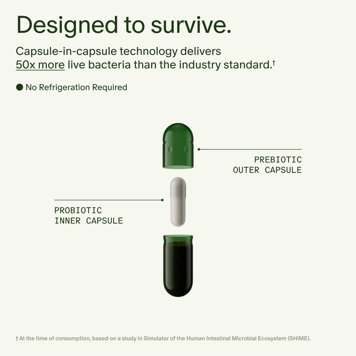 Seed 14 Day Gut Reset | Probiotic & Prebiotic for Digestive Health