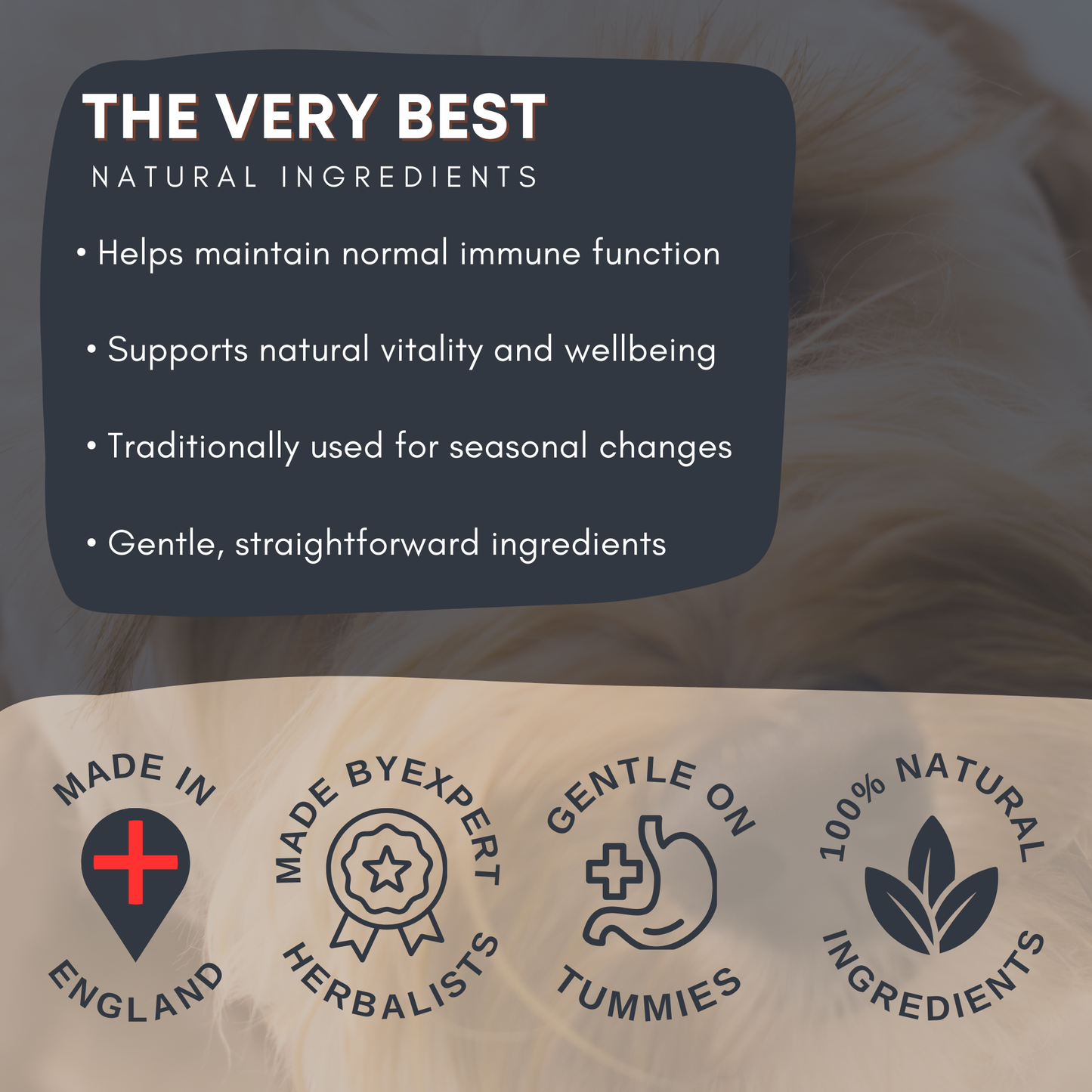 Immune Support Tincture for Dogs & Cats – Everyday Herbal Wellness Support