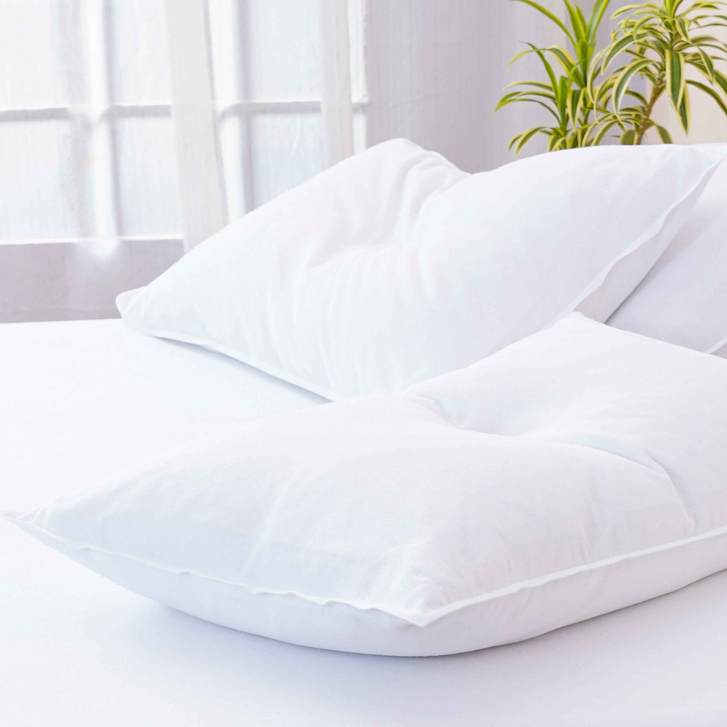 Bella Flannelette (Brushed Cotton) - White Pillowcases Pair