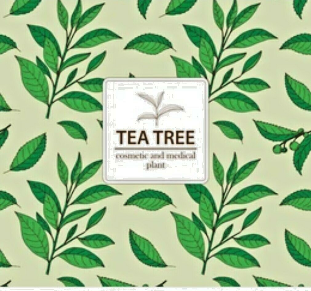 Shower Gel & Body Wash Tea Tree Oil & Eucalyptus 250 Ml For Skin Foot Wash Daily