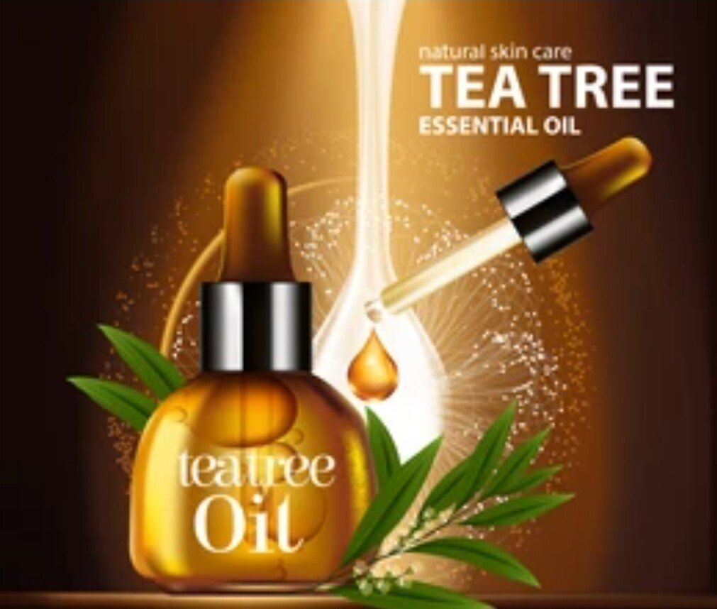 Shower Gel & Body Wash Tea Tree Oil & Eucalyptus 250 Ml For Skin Foot Wash Daily