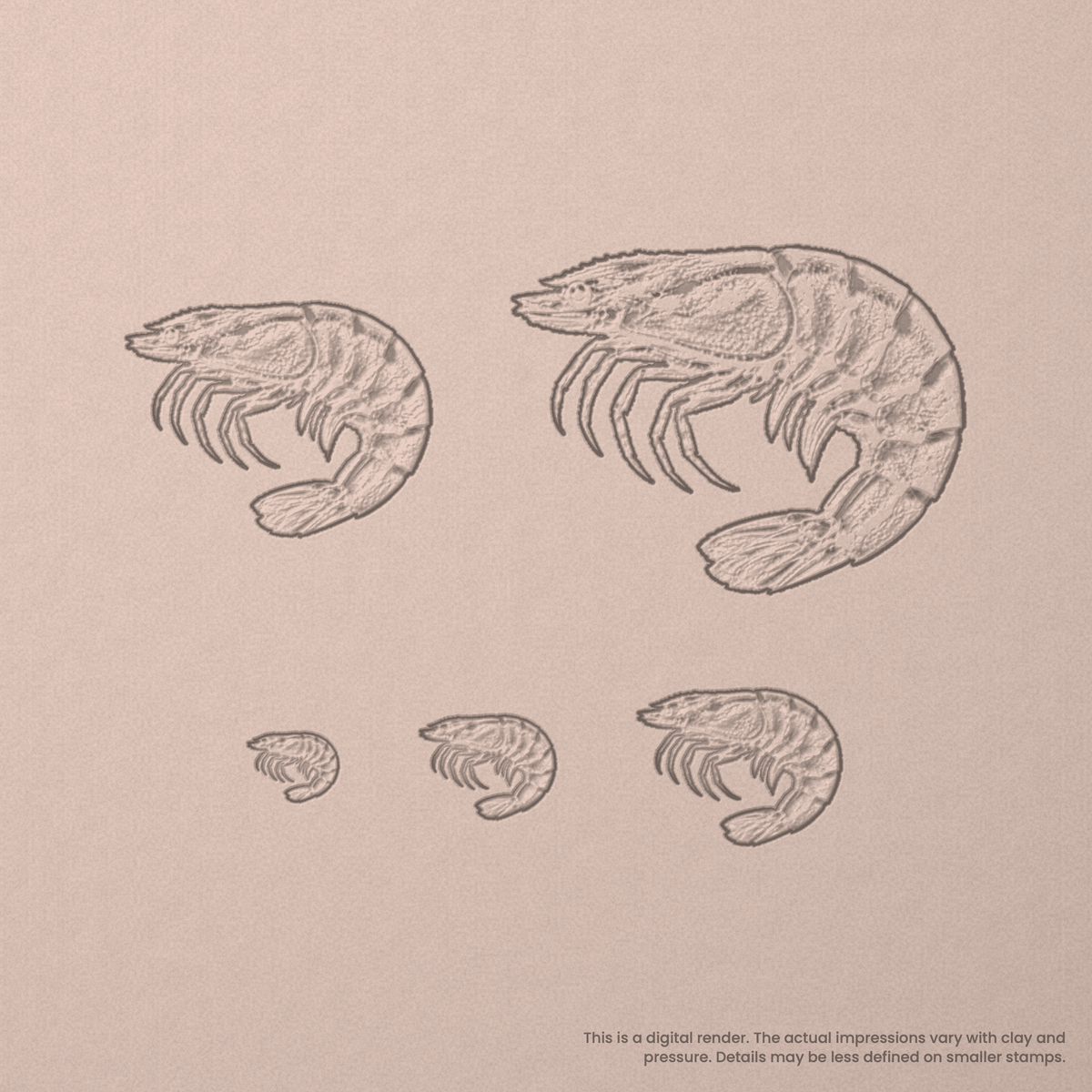 Shrimp Stamps - Photo Textured