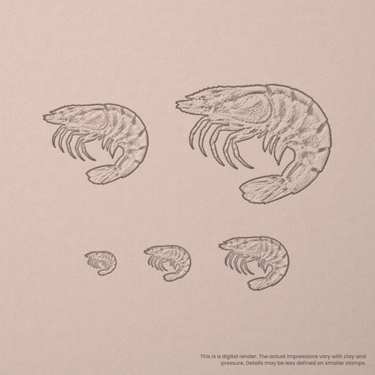 Shrimp Stamps - Photo Textured