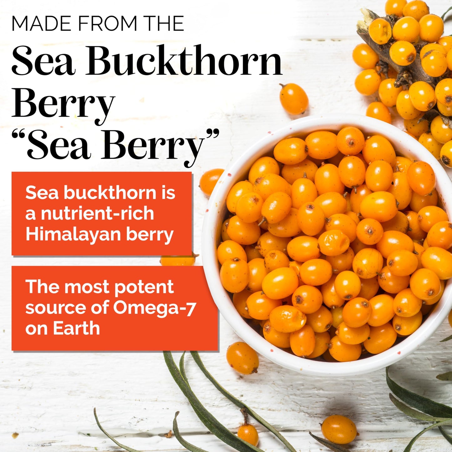 Sibu Sea Buckthorn Omega-7 Softgels – 60-Day Refill Sachet for Healthy Skin, Hair & Nails