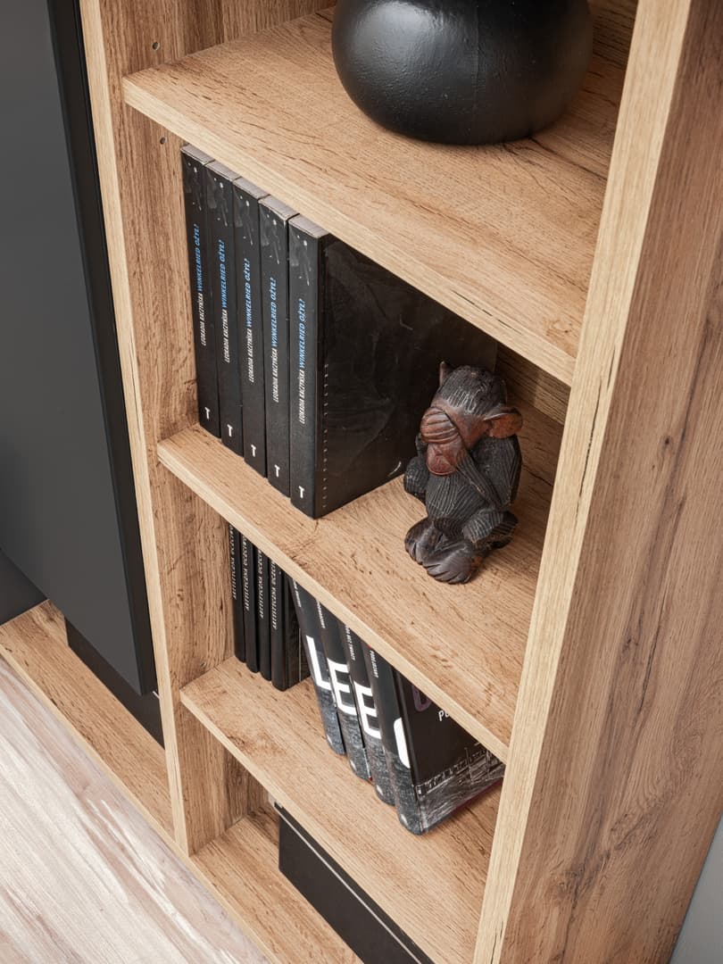 Silk II Entertainment Unit