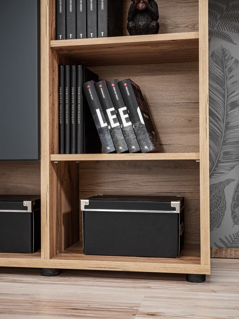 Silk II Entertainment Unit