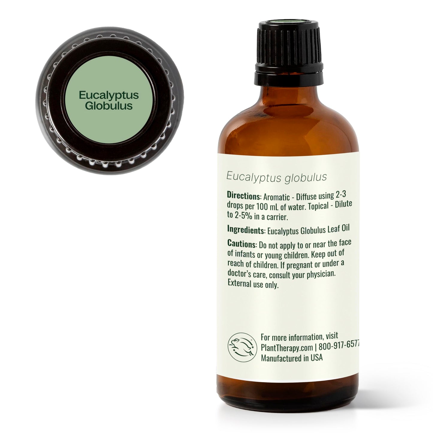 Plant Therapy Eucalyptus Globulus Essential Oil 100 mL (3.3 oz) | Pure & Therapeutic