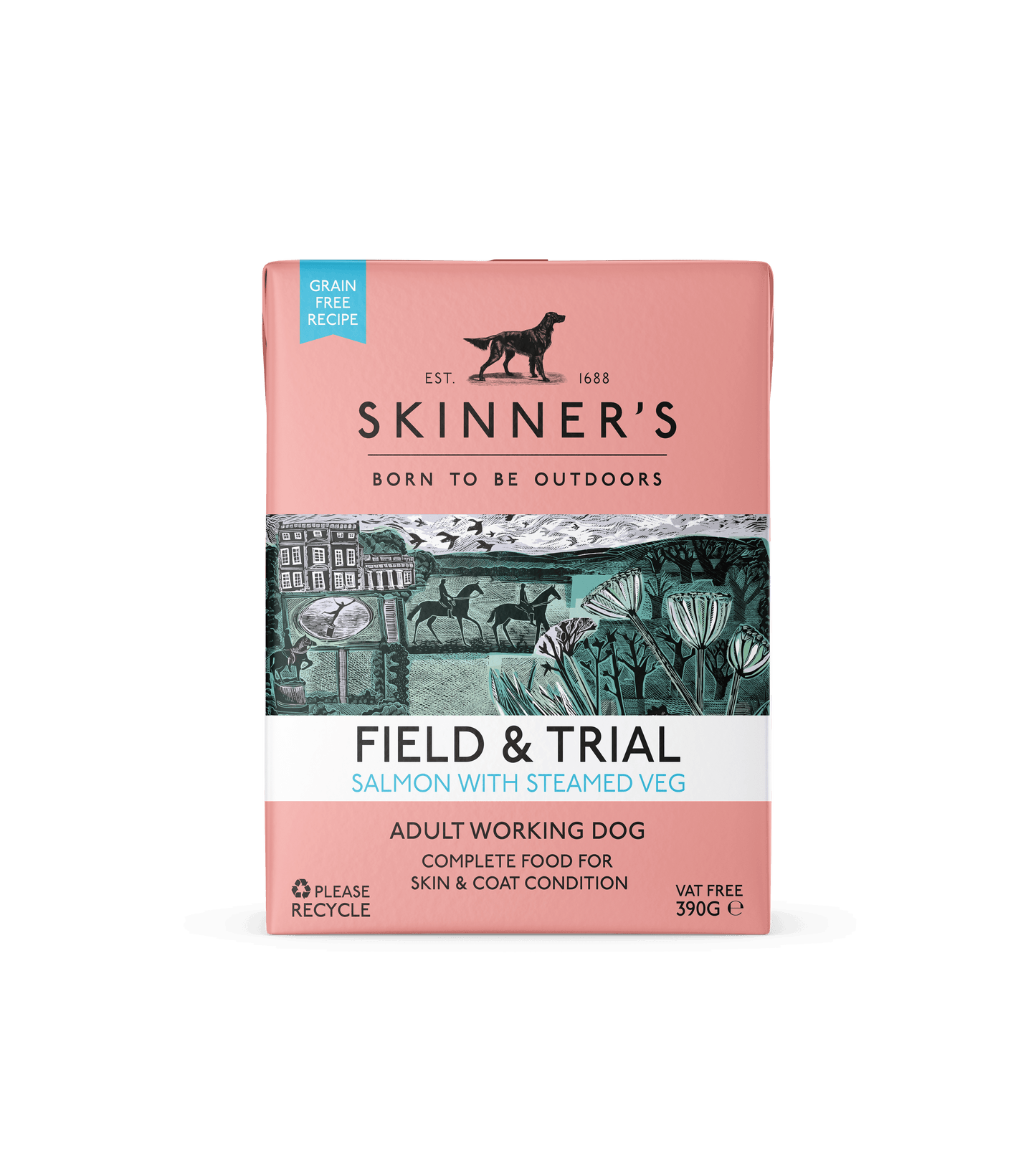 Skinners Field & Trial Adult Grain Free Salmon 18x390g